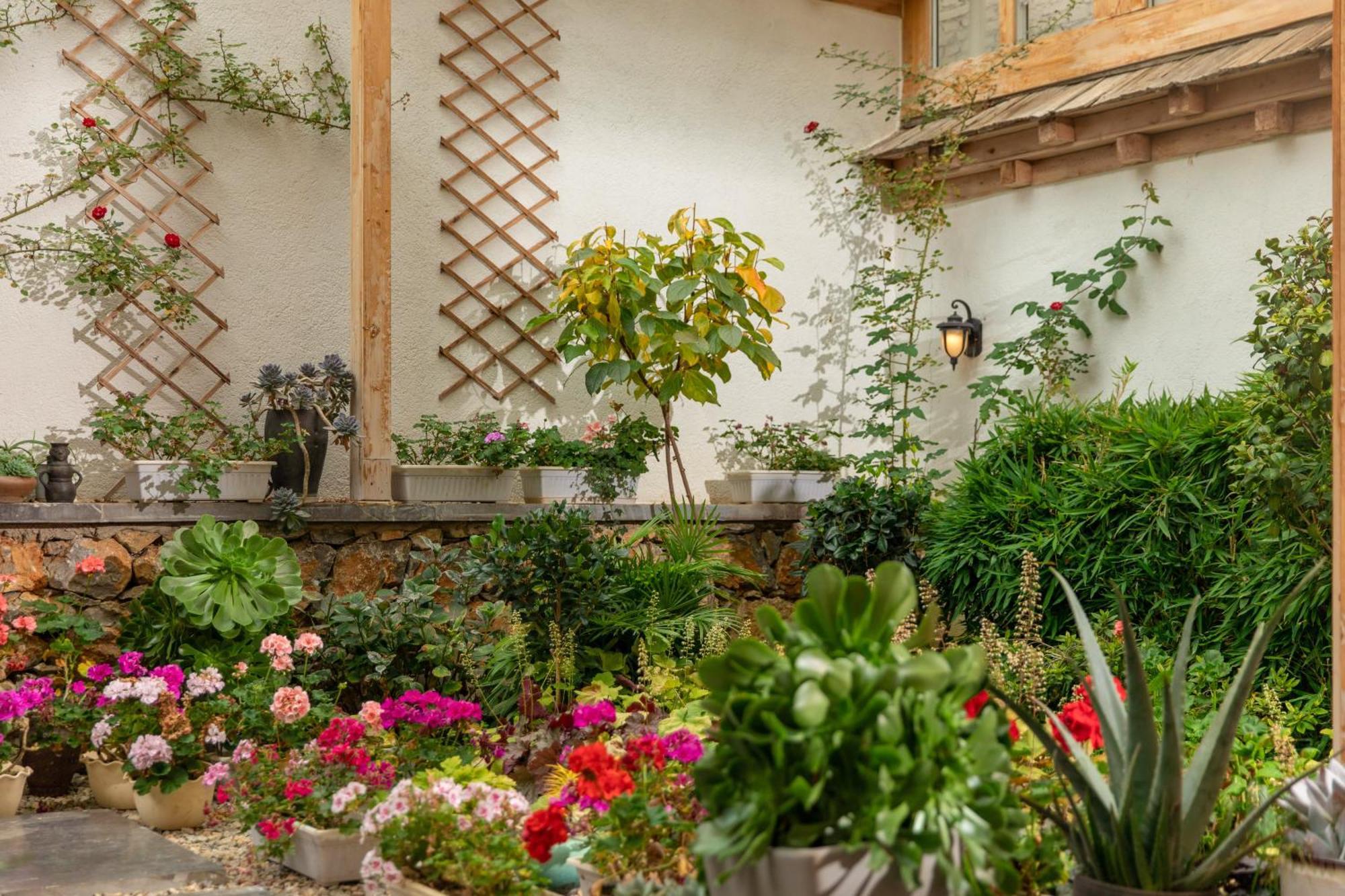 Courtyard Shangri-La 藏舍小院 Eksteriør bilde